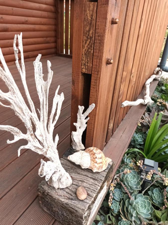 Chameleon Lodge Колчестер Экстерьер фото
