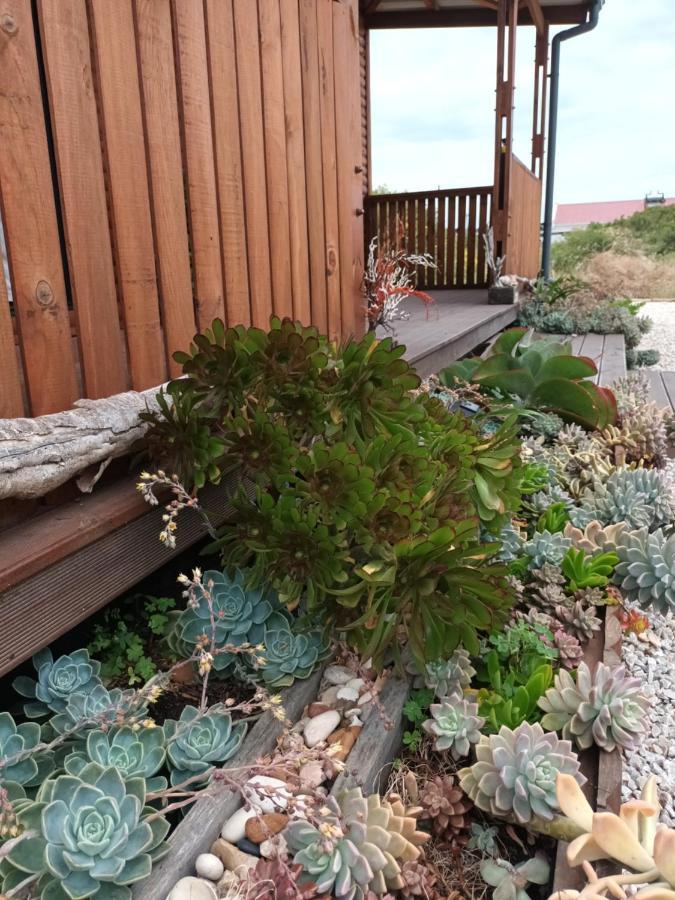 Chameleon Lodge Колчестер Экстерьер фото